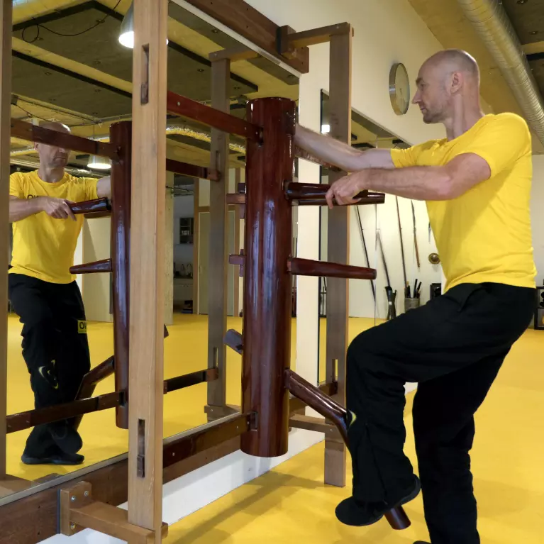 Workshops Kostenlos - Advanced WingTczun