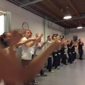 Kampfkunst für Erwachsene bei EWO - Header