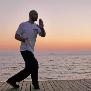 EWO Selbstverteidigung Enschede - Sifu Edgar Zimmermann - WT WingTczun