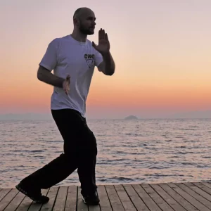 WT - WingTczun Header, Saam Baai Fut